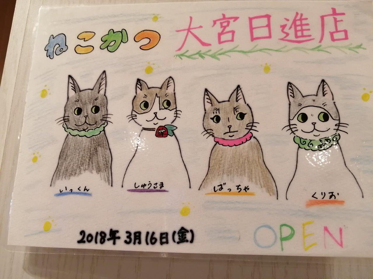 保護猫カフェ ねこかつ 大宮日進店レポ 猫の様子や譲渡条件 求人など 埼玉で探そう