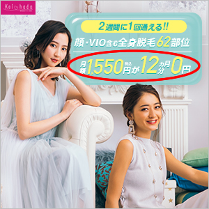 月額1,550円12カ月分0円のカラクリ